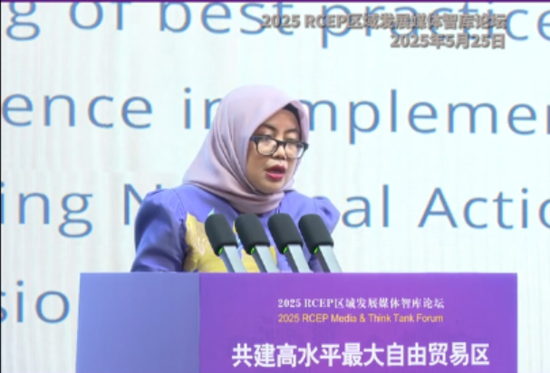 Dina Kurniasari, ASEAN Co-Chair of the RCEP Joint Committee: China Has Always Been Our Model in Implementing RCEP
