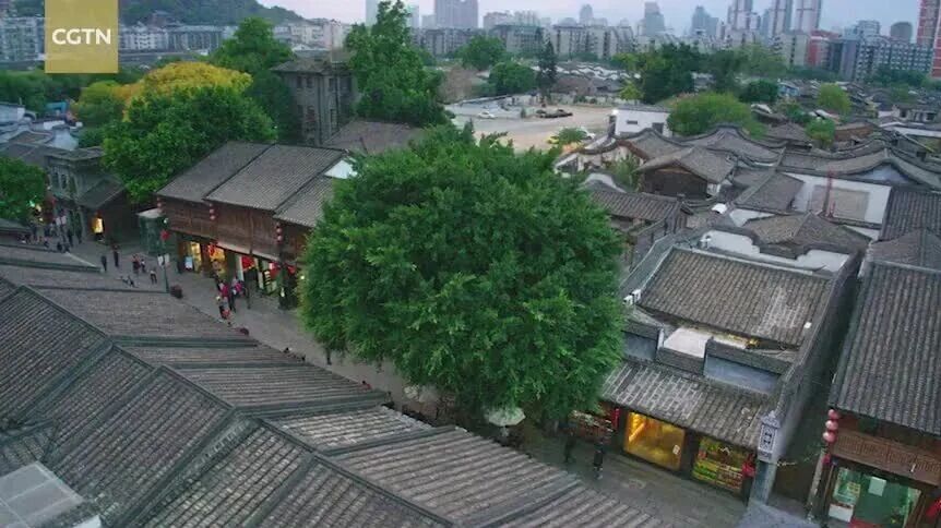 The City of Banyan Tree